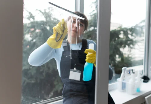 Nettoyage de vitres intérieures et extérieures à Villemade